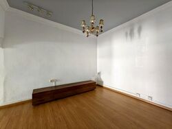 Serangoon Garden Estate (D19), Semi-Detached #639520211